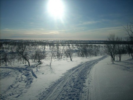 Podvečerní panorama v tundře.