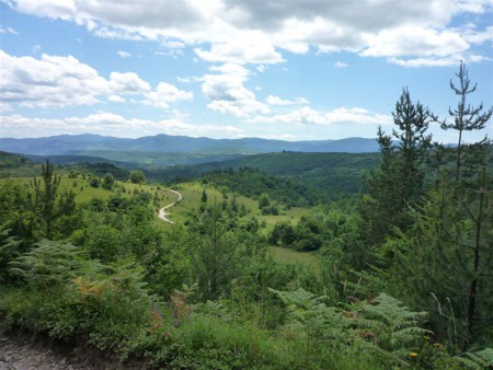 Panorama.