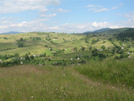 Panorama.