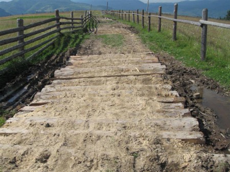 Cesta, cestička.