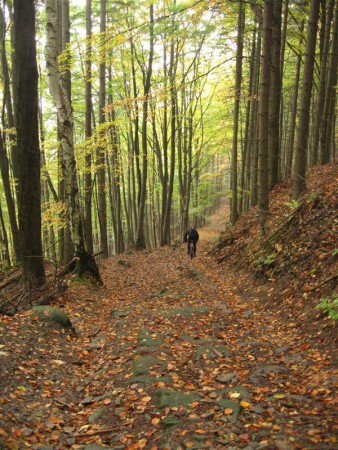 Nějak takto vypadá větší část trasy. A to pořád dolu, nebo nahoru. Rovinek tu moc není.