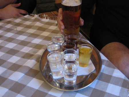 POZOR! Začíná porážka borového lesa.