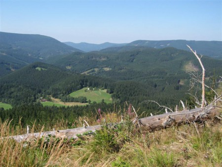 Panorama.