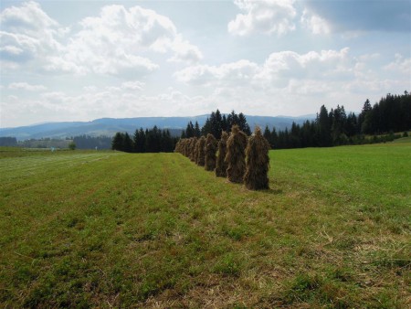 Panorama.