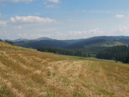 Panorama.