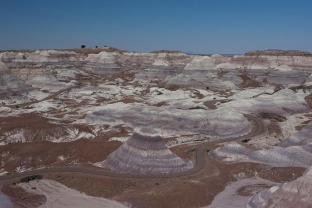 Petrified forest