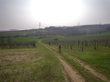 Nedělní odpočinková ve vinohradech.