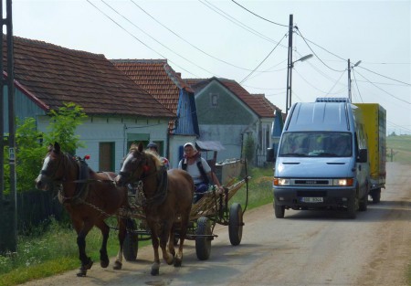 Uznáváme, že jsme oproti místním měli víc koní a lepší vlek.
