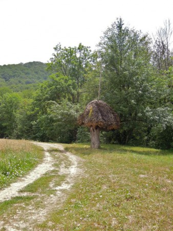Místní  červené značení.