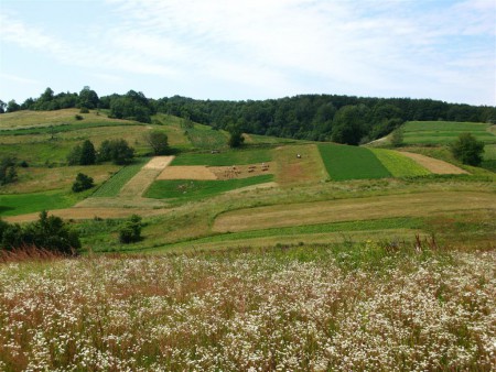 Banátský kraj.