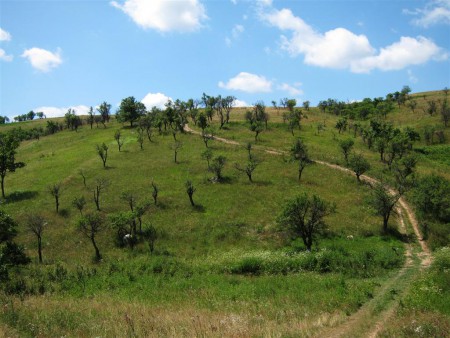 Banátský kraj.