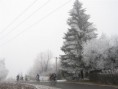 /album/bezky-s-vodenkou-20111/a02-large-jpg12/