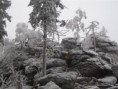 /album/bezky-s-vodenkou-20111/a12-large-jpg12/