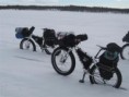 /album/snow-bike-expedice-laponsko-2011/a34-large-jpg7/