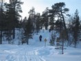 /album/snow-bike-expedice-laponsko-2011/a45-large-jpg6/