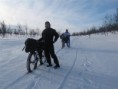 /album/snow-bike-expedice-laponsko-2011/a81-large-jpg1/