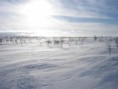 /album/snow-bike-expedice-laponsko-2011/a90-large-jpg1/