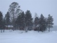 /album/snow-bike-expedice-laponsko-2011/a127-large-jpg/