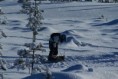 /album/snow-bike-expedice-laponsko-2011/a167-large-jpg/