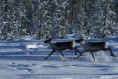 /album/snow-bike-expedice-laponsko-2011/a170-large-jpg/