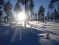 /album/snow-bike-expedice-laponsko-2011/a171-large-jpg/