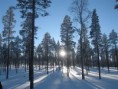 /album/snow-bike-expedice-laponsko-2011/a173-large-jpg/