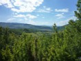 /album/bosna-a-hercegovina-2011/a27-large-jpg12/