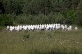 /album/bosna-a-hercegovina-2011/a55-large-jpg6/