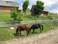 /album/podkarpatska-rus-20081/a13-jpg9/