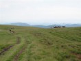 /album/podkarpatska-rus-20081/a66-jpg5/