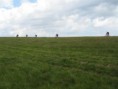 /album/podkarpatska-rus-20081/a69-jpg3/