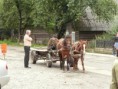 /album/podkarpatska-rus-20081/a99-jpg1/