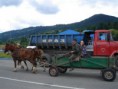/album/podkarpatska-rus-20081/a130-jpg1/