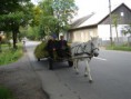 /album/podkarpatska-rus-20081/a132-jpg1/