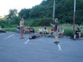 /album/podkarpatska-rus-20081/a173-jpg1/