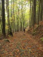 /album/sudety-ralley-20081/a11-jpg3/