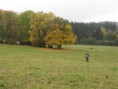 /album/sudety-ralley-20081/a14-jpg4/