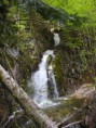 /album/wolfgangsee-20091/a16-medium-jpg2/