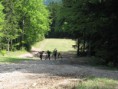 /album/wolfgangsee-20091/a44-medium-jpg2/