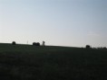 /album/sudety-ralley-20091/a02-jpg9/