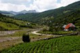 /album/albanie-20091/a15-large-jpg20/