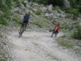 /album/albanie-20091/a26-large-jpg15/