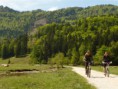 /album/wolfgangsee-2012/a07-large-jpg23/