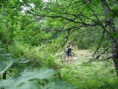 /album/makedonie-2012/a74-large-jpg/