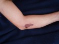 /album/makedonie-2012-momentky/a46-jpg1/