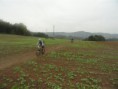 /album/prejezd-praha-zapad-2012/a08-jpg23/