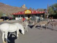 /album/route-66-trip-2012/a99-custom-jpg/
