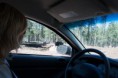 /album/williams-bearizone-2012/a10-custom-jpg8/