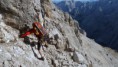 /album/zugspitze-a-jubilaumsgrat/a76-jpg2/