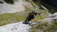 /album/wolfgangsee-2014/a36-large-jpg20/